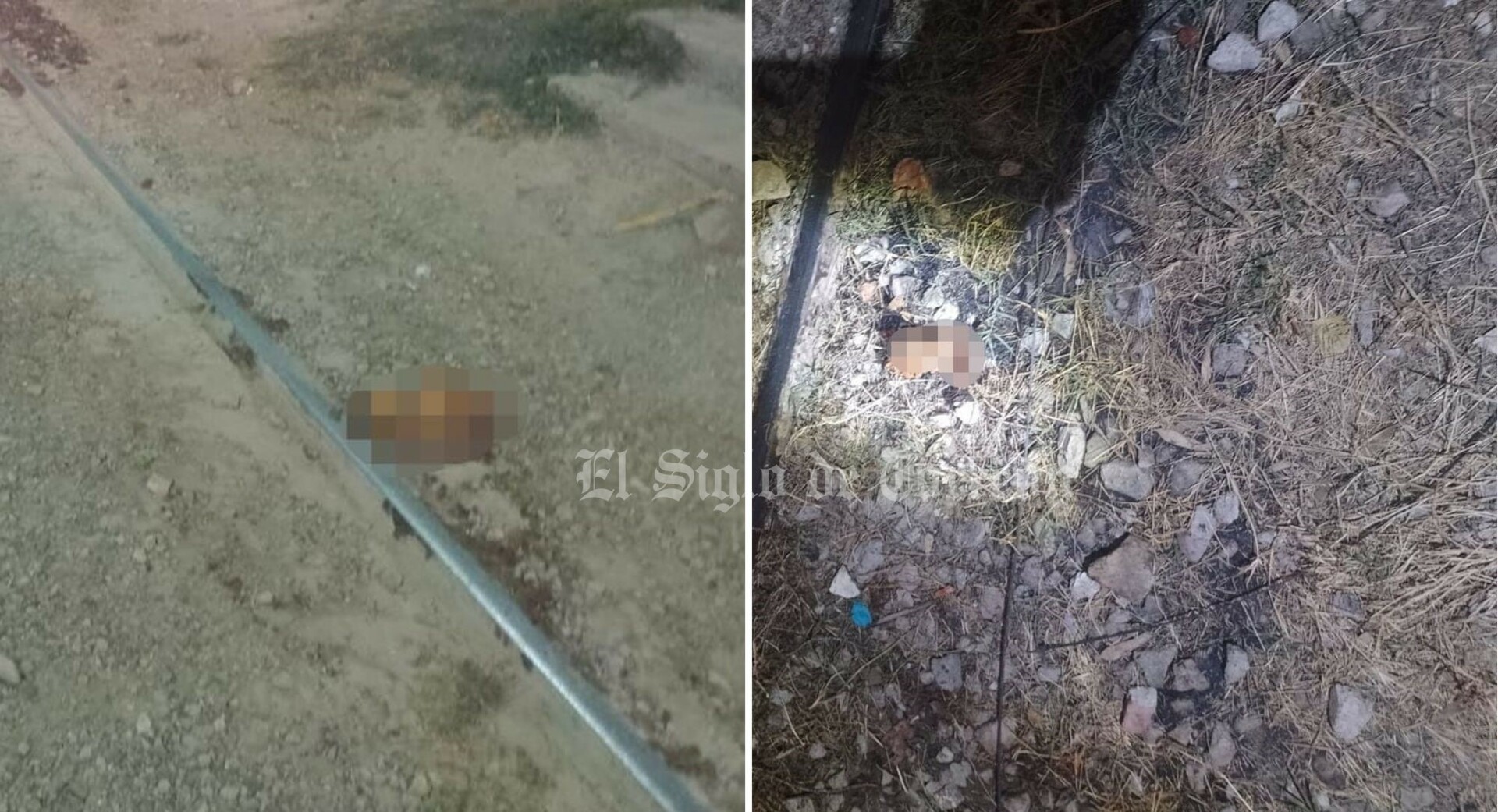 Mujer Muere Arrollada Por El Tren En Torre N Fiscal A Investiga El Caso