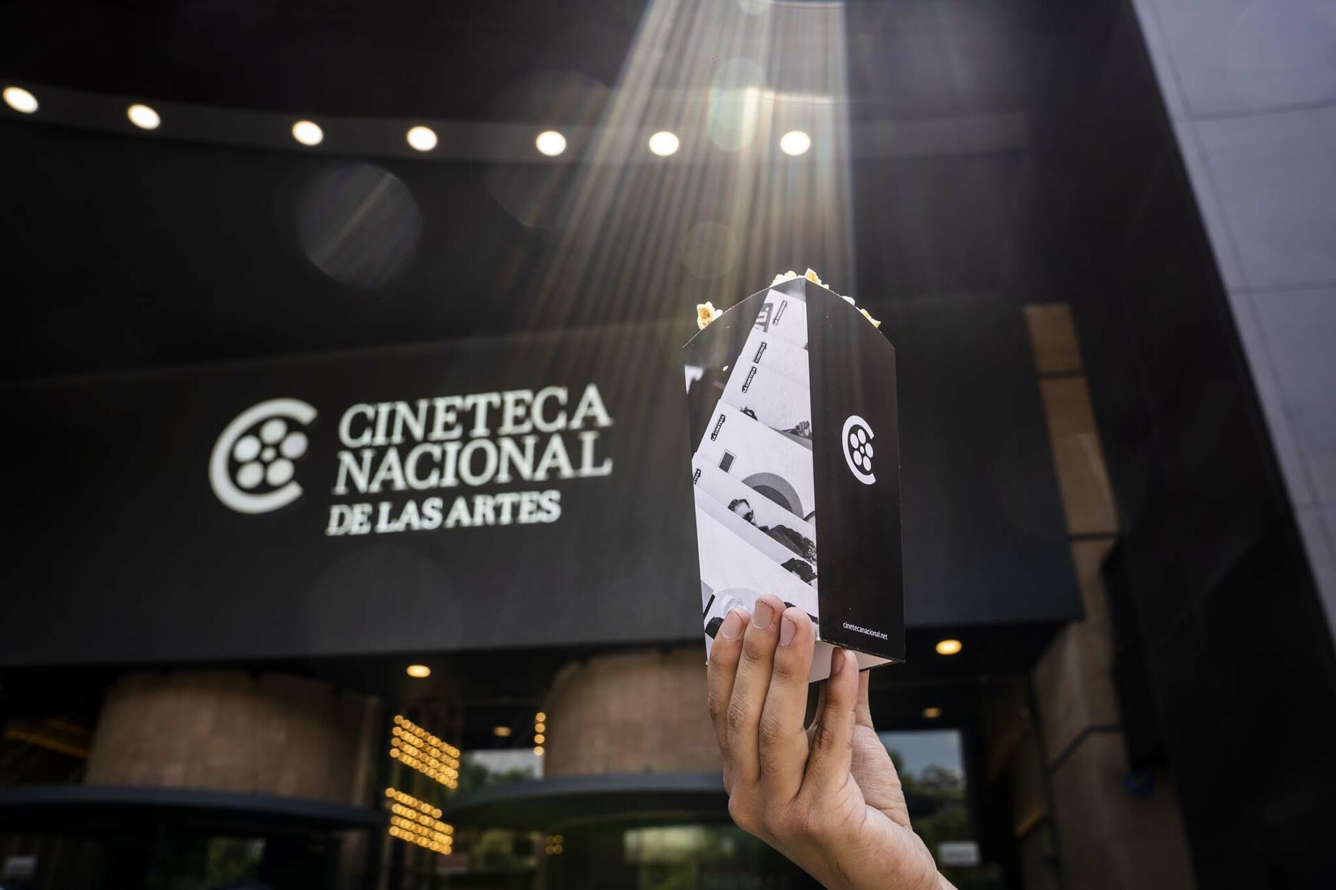 Cineteca Nacional De Las Artes Cerca De Abrir D Nde Est Y Cu Les