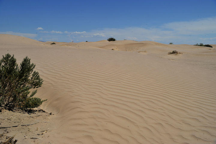 Impulsarán ecoturismo con parque en las dunas