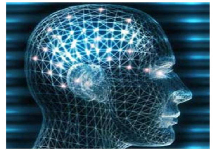 IBM busca crear 'cerebro electrónico'
