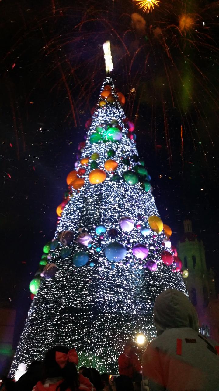 Encienden árbol navideño en Saltillo