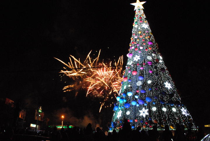 Pino gigante enmarca la Navidad en Monclova
