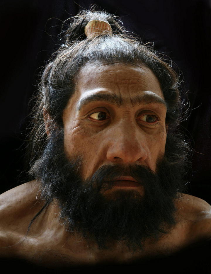 Neandertales dividían algunas de sus tareas por sexos