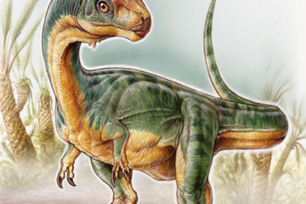 Dinosaurio es un 'verdadero rompecabezas evolutivo'
