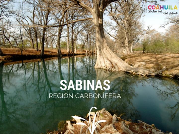 Buscan detonar a Región Carbonífera por su belleza turística