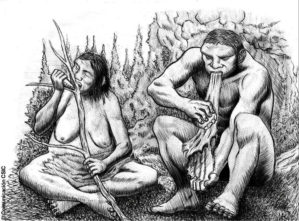Primeros humanos modernos tuvieron parientes neandertales