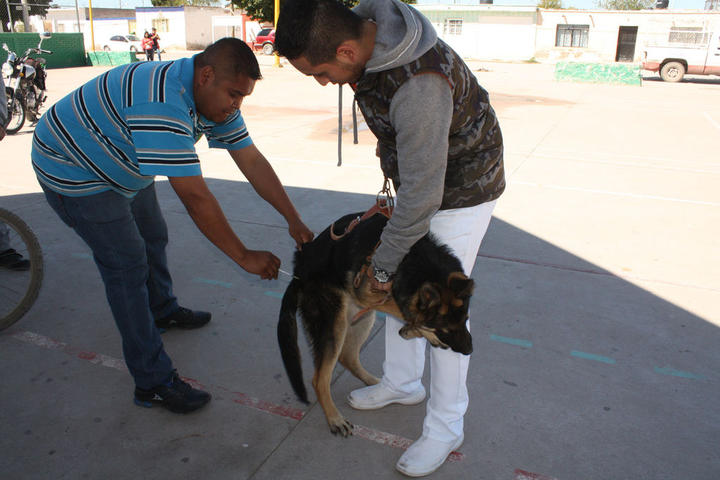 Vacunan a mascotas de ejidos de San Pedro