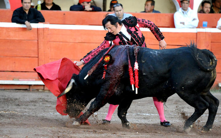 Coahuila busca prohibir tortura de toros en fiesta brava