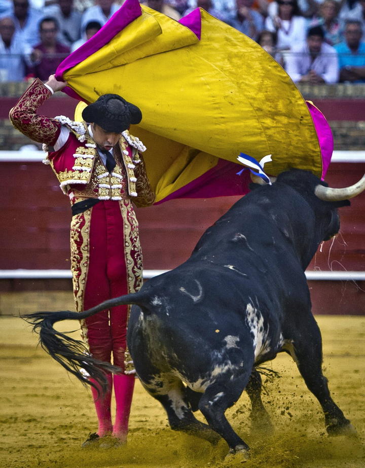 Reviven reforma para prohibir corridas de toros en Coahuila