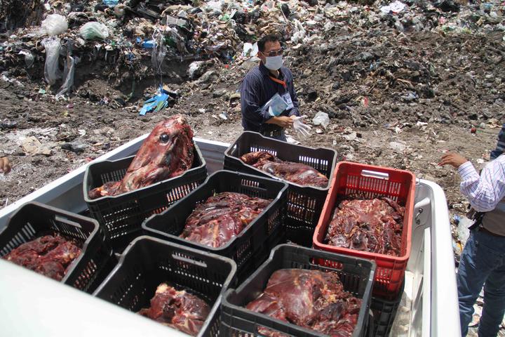 Venden carne de manera ilegal en Monclova
