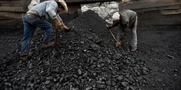 Se ahorran 66 mdp en licitación de carbón