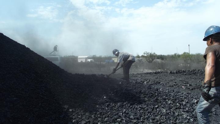 Ahorran 66 mdp en licitación de carbón