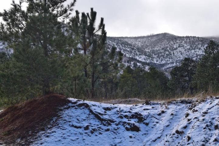 Región sureste registra primera nevada en Arteaga