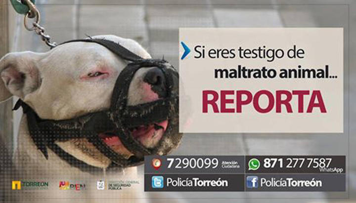 Se suma Policía de Torreón contra el maltrato de animales