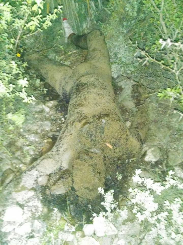 Localizan cadáver putrefacto al oriente de Monclova