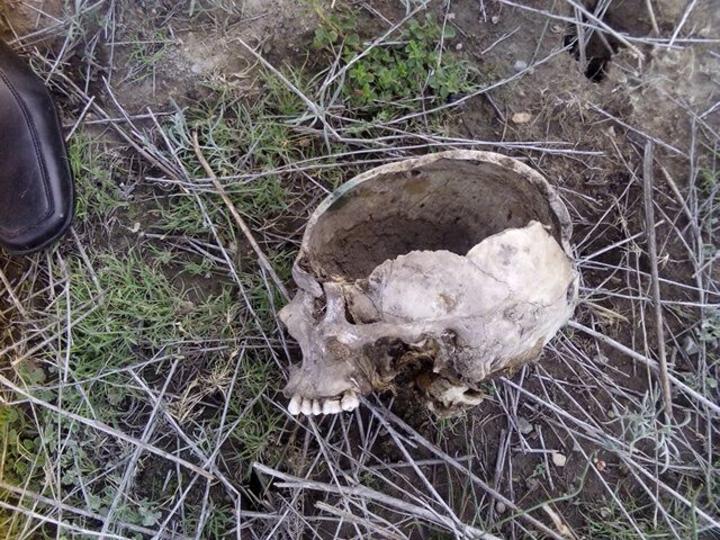 Restos óseos encontrados en Saltillo datan de varios años