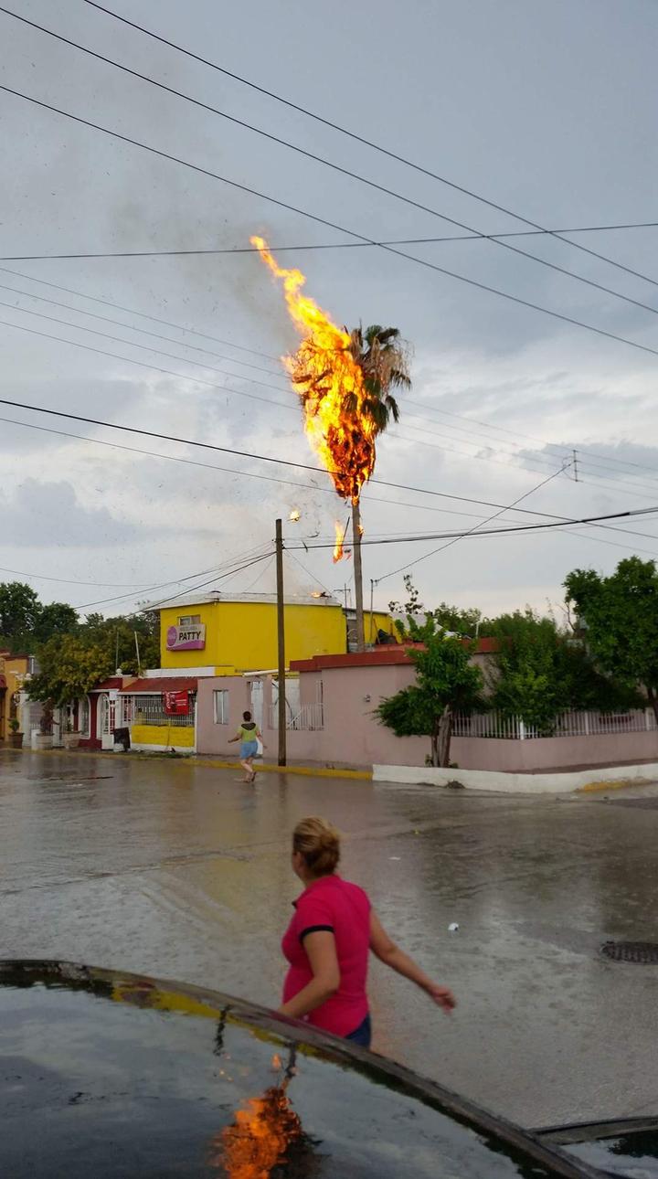 Ciudadanos sofocan incendio provocado por rayo en Frontera