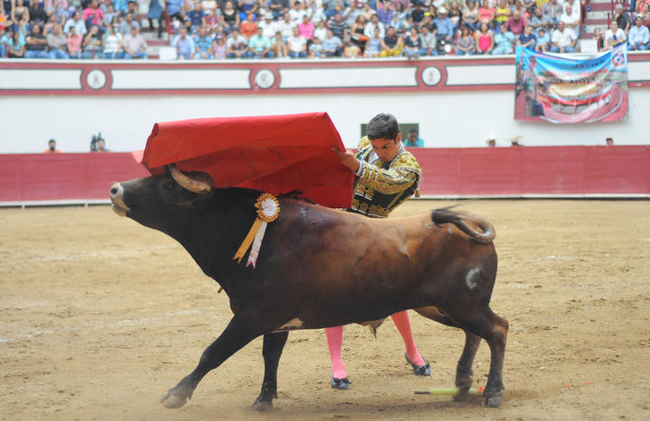 Moreira se opone a corridas de toros
