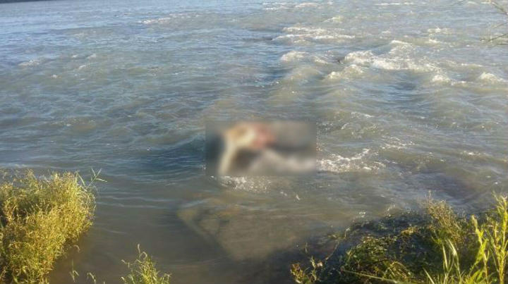 Encuentran cuerpo sin vida en el río Bravo