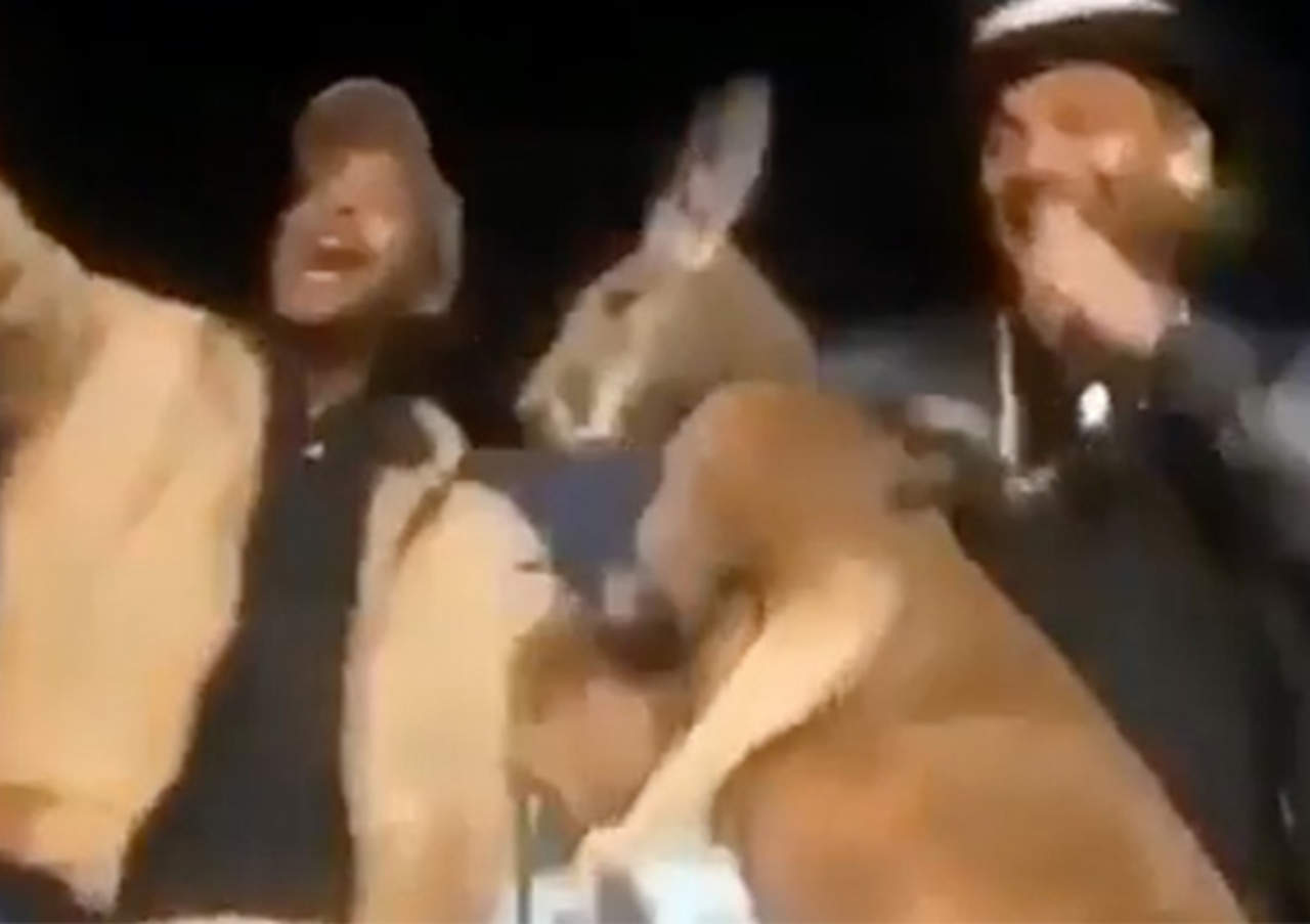 Famoso comediante utiliza canguro encadenando en su Show