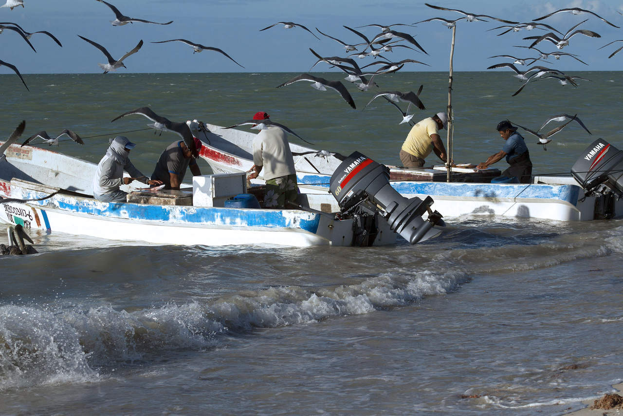 Golfo de México, en riesgo de gran 'zona muerta'