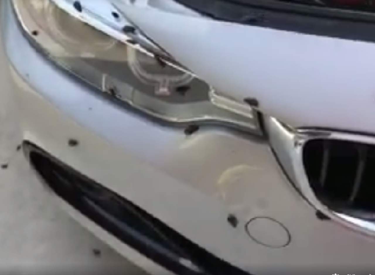 Encuentra su auto infestado con cucarachas