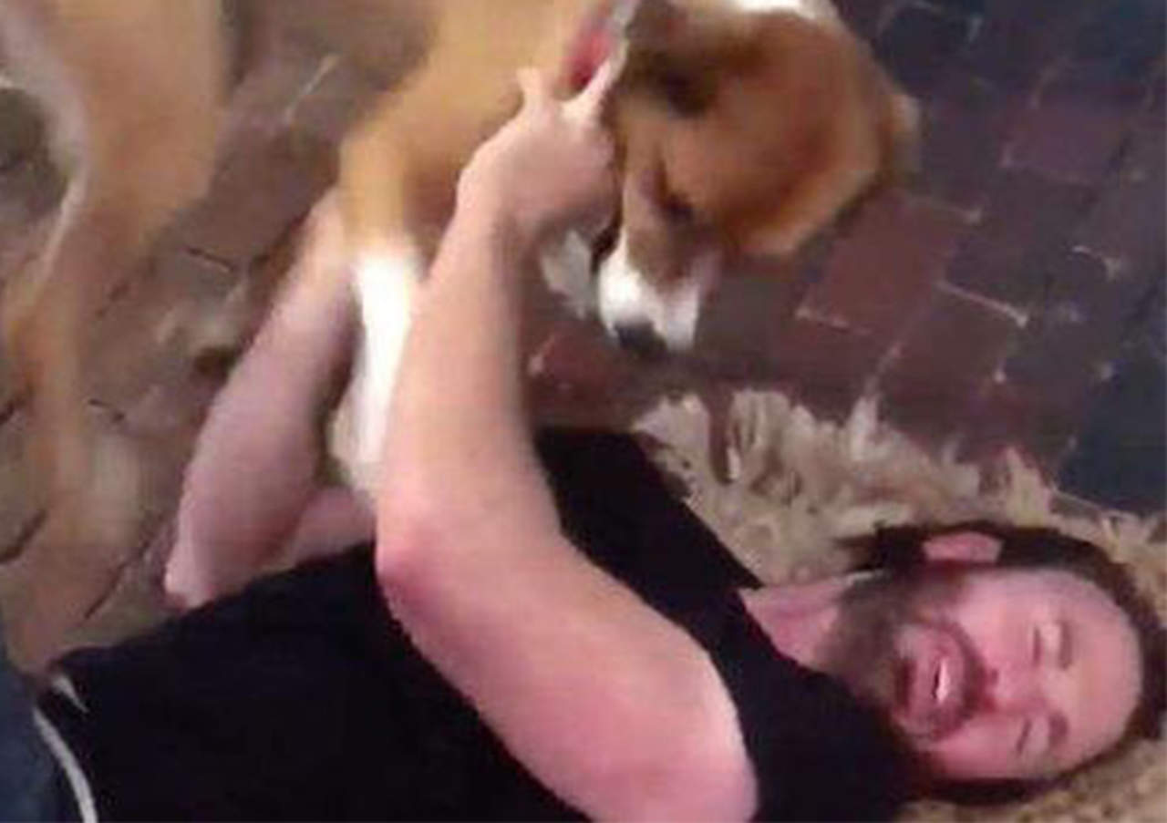 Emotivo reencuentro de Chris Evans y su perro se hace viral
