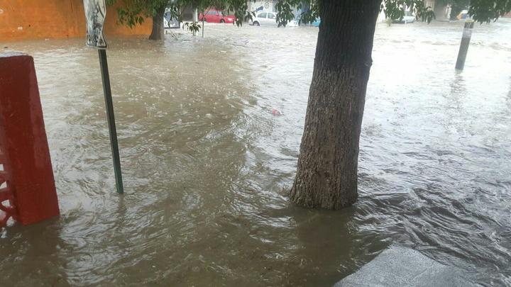 Se registran inundaciones en diversos sectores de Saltillo