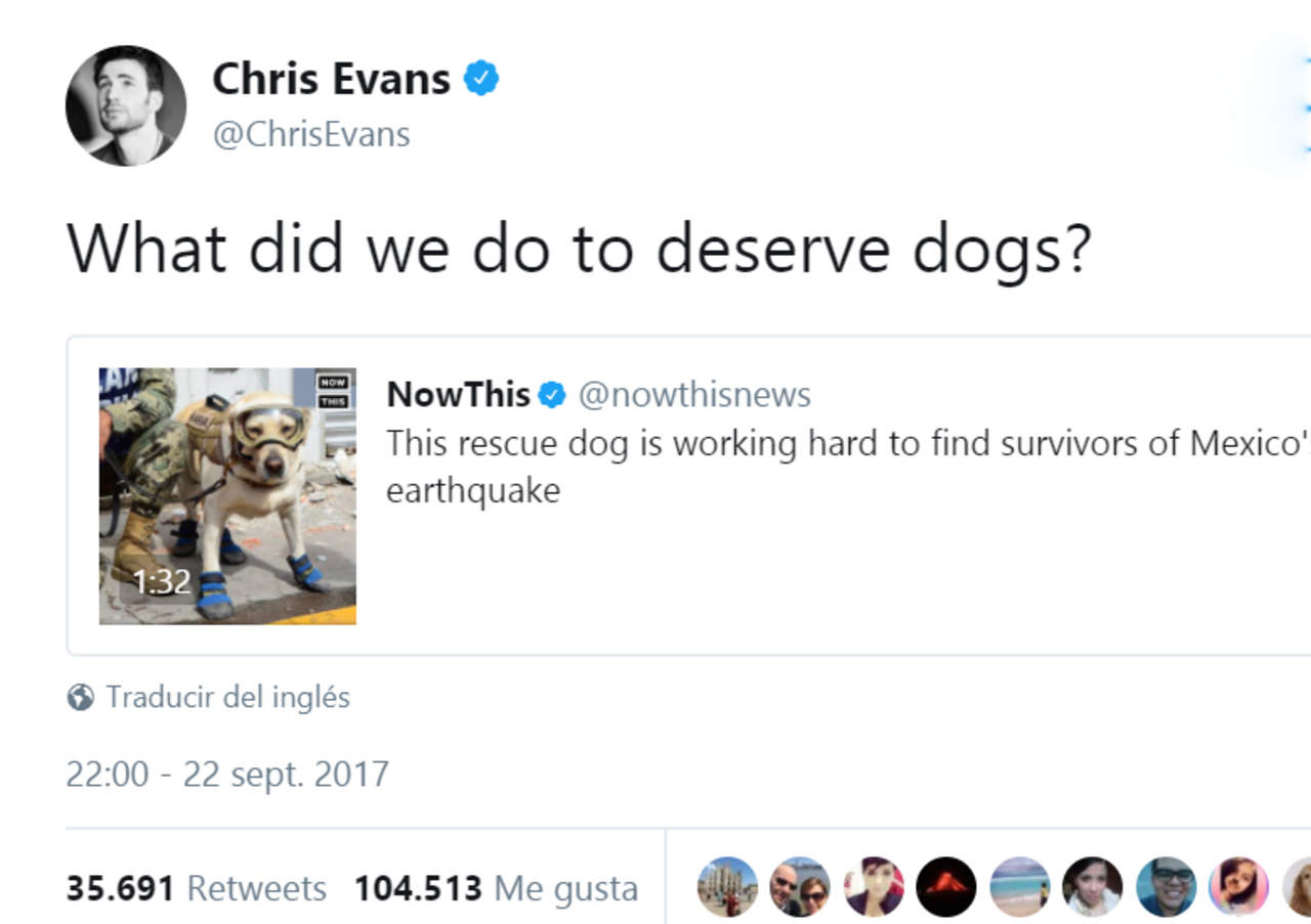 Chris Evans elogia labor de perrita Frida