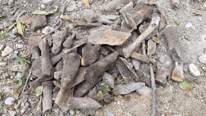 Restos óseos encontrados en Nava son de animal: FGE