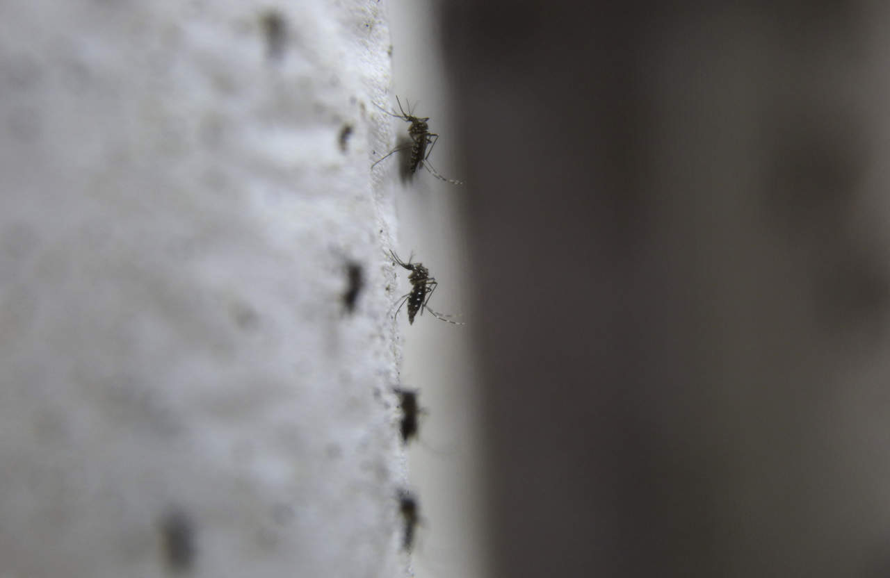 Suben a 84 los casos de dengue en Coahuila