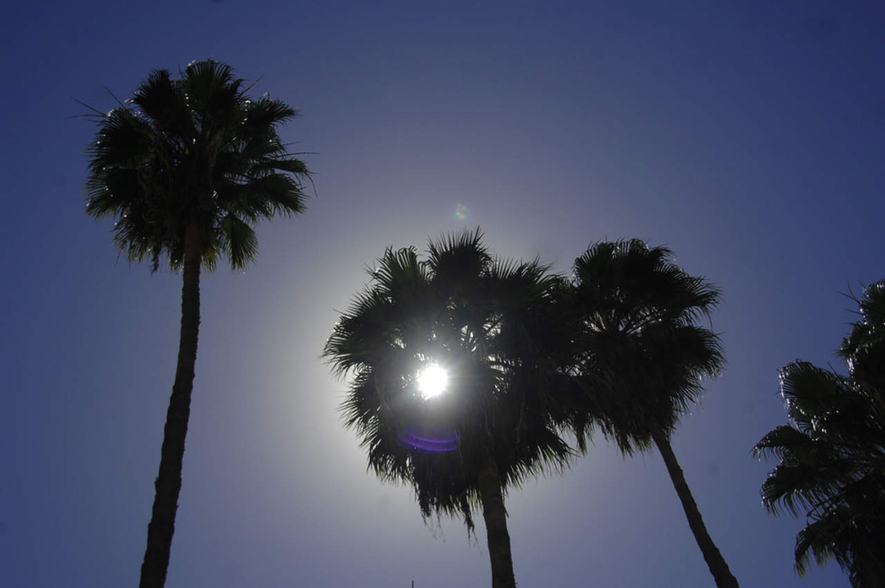 Mexicanos crean parche para cuidar la piel de los rayos del Sol