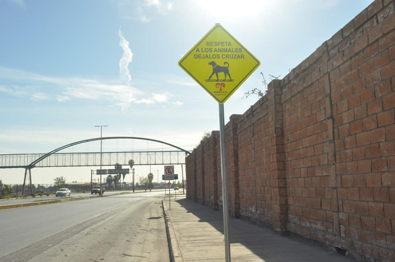 Instalan señaléticas para evitar atropellamientos de animales en Torreón