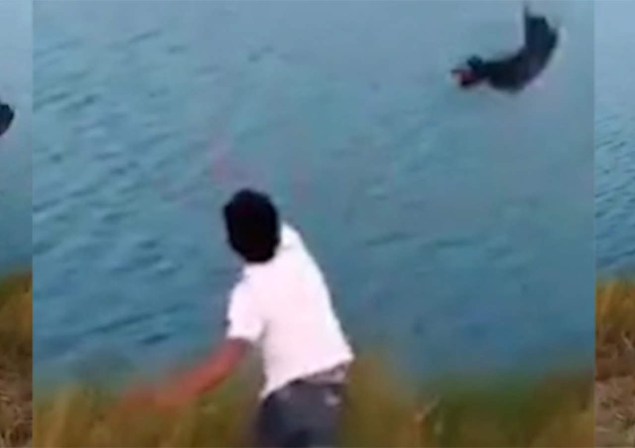 Hombre lanza a cachorro a lago lleno de cocodrilos