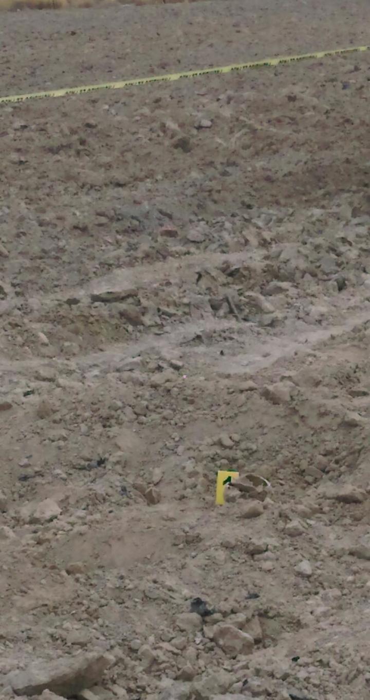 Campesino encuentra osamenta enterrada en su parcela en Parras