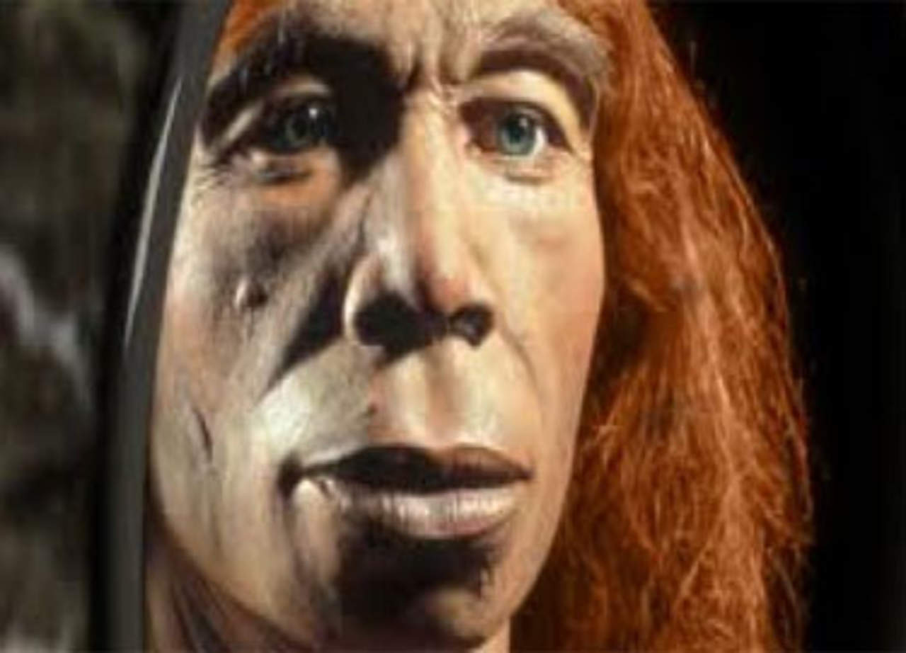 Caras antiestéticas, un punto a favor para los neandertales