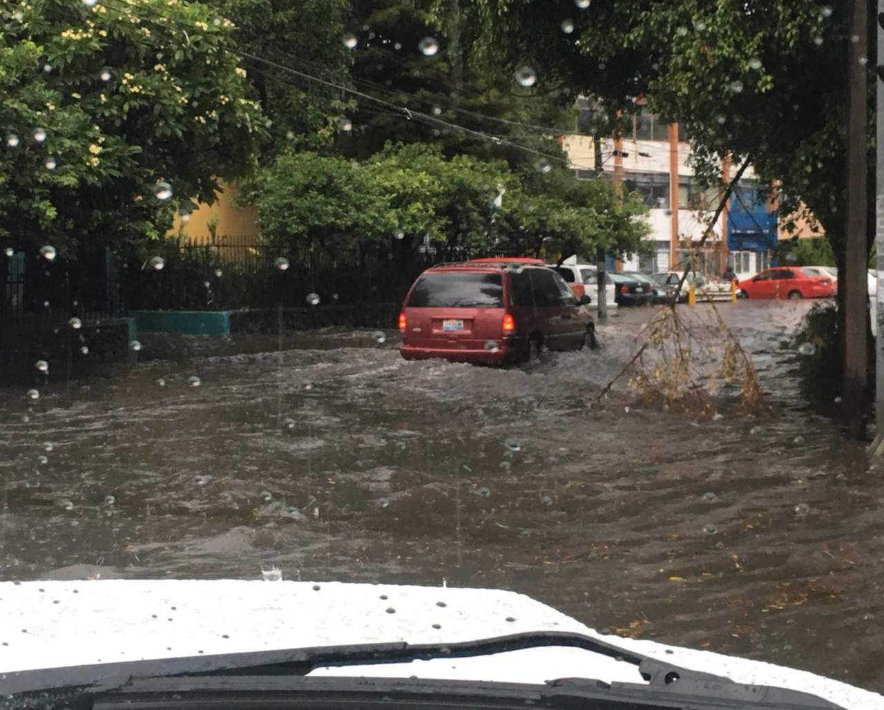 Lluvias provocan inundaciones y árboles caídos en Guadalajara