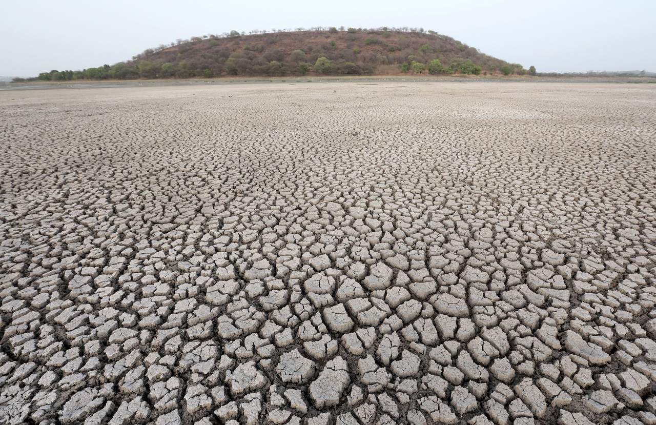 Advierten que el mundo enfrentará una desertificación alarmante en 2070