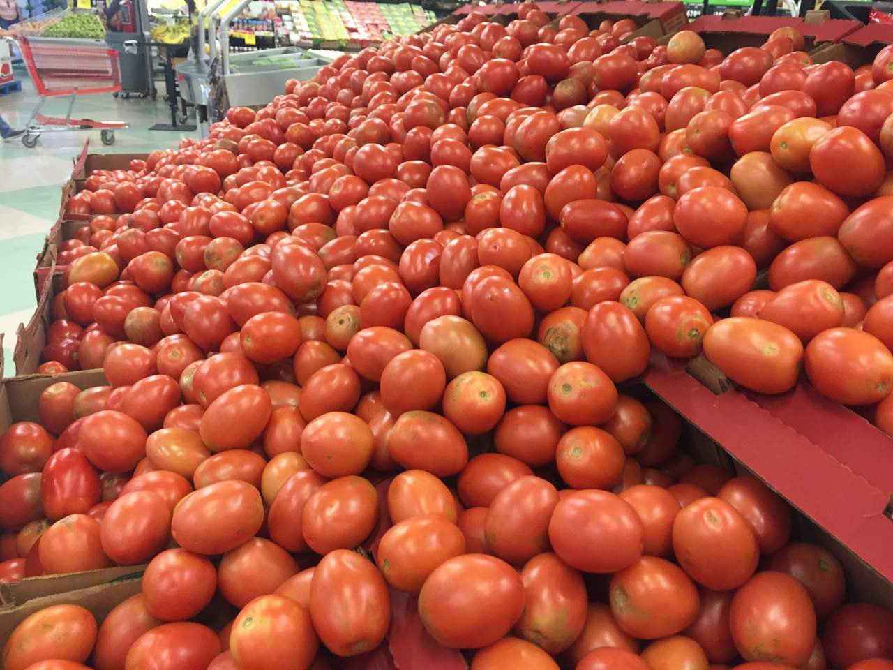 Desarrollan dispositivo que monitorea calidad del tomate de árbol