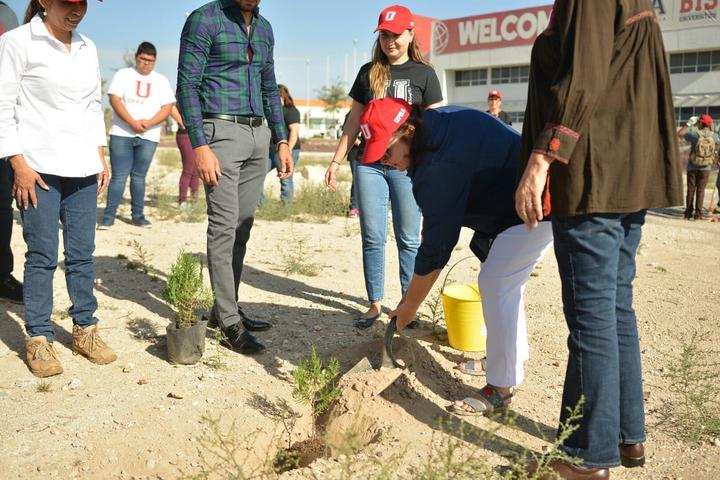 Realizan reforestación de más de 400 árboles en universidad de Ramos Arizpe
