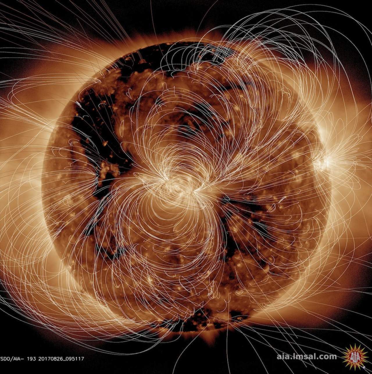 NASA realiza campo magnético del Sol en computadora