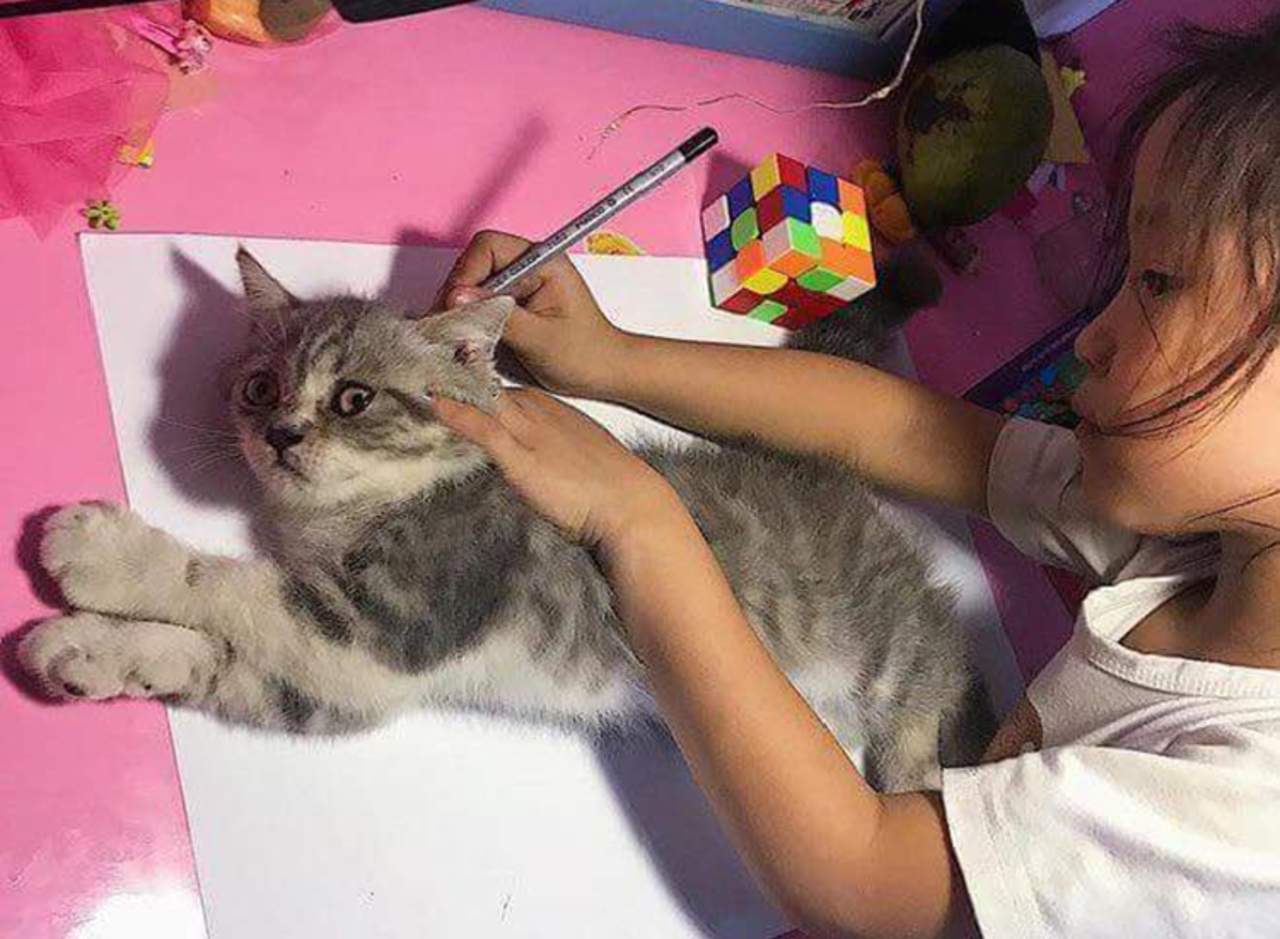 Inusual forma de dibujar a un gato se convierte en meme