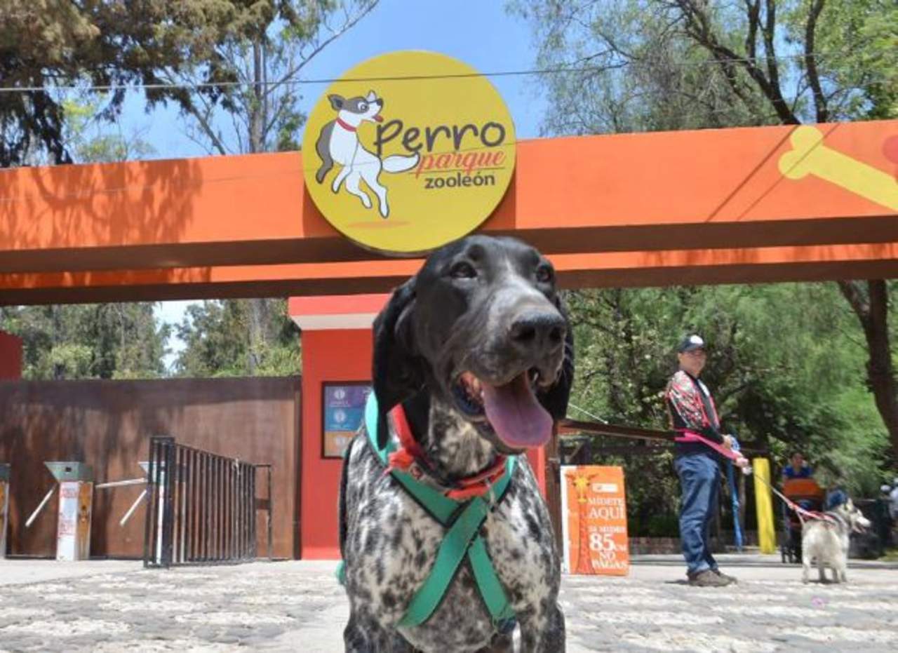 Inauguran parque para perros en zoológico de León