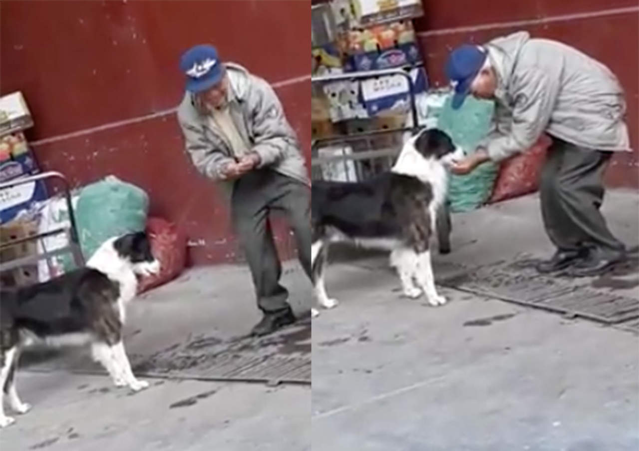 Anciano hidrata a perro callejero y conmueve en redes