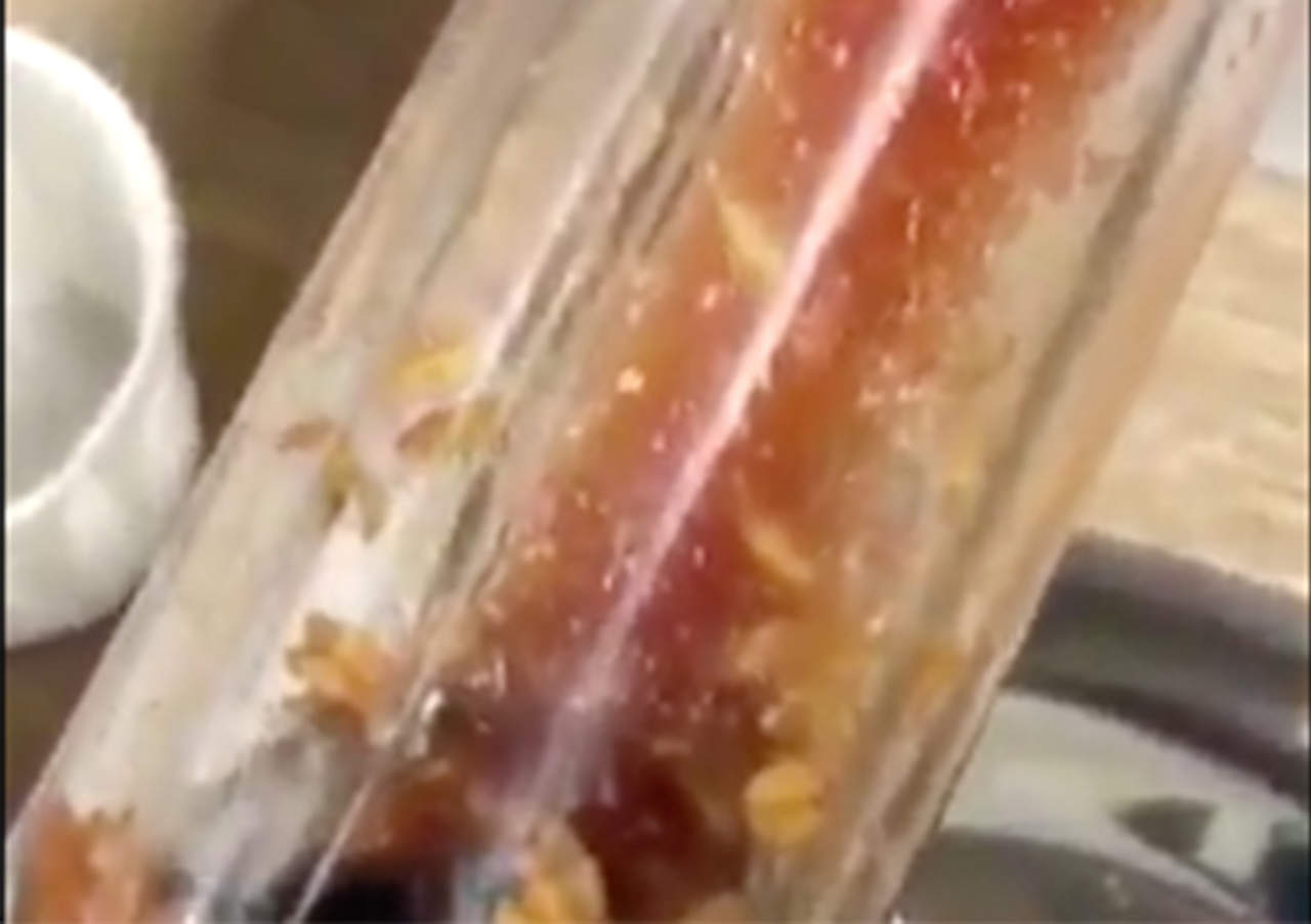 VIDEO: Encuentran gusanos en contenedor de cátsup