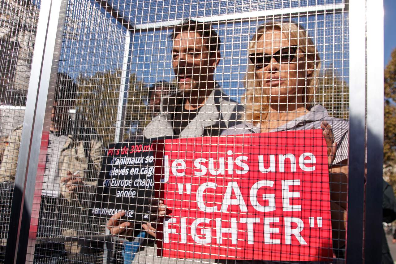 Pamela Anderson denuncia la cría de animales en jaulas