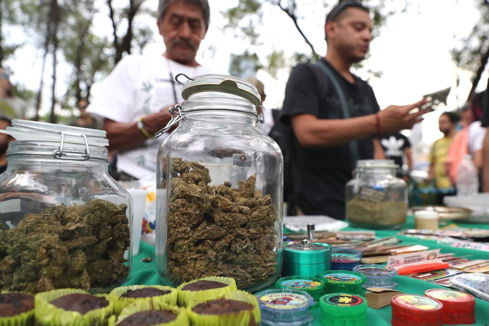 Puntos para conocer la propuesta de legalización de la marihuana en México