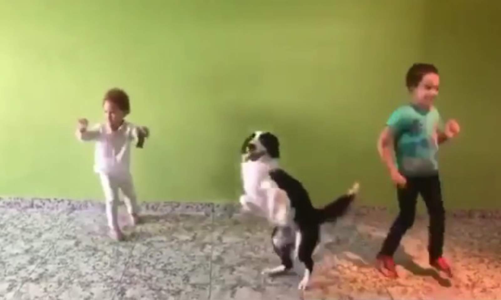 VIRAL: Niños y su perro conquistan redes con su peculiar baile