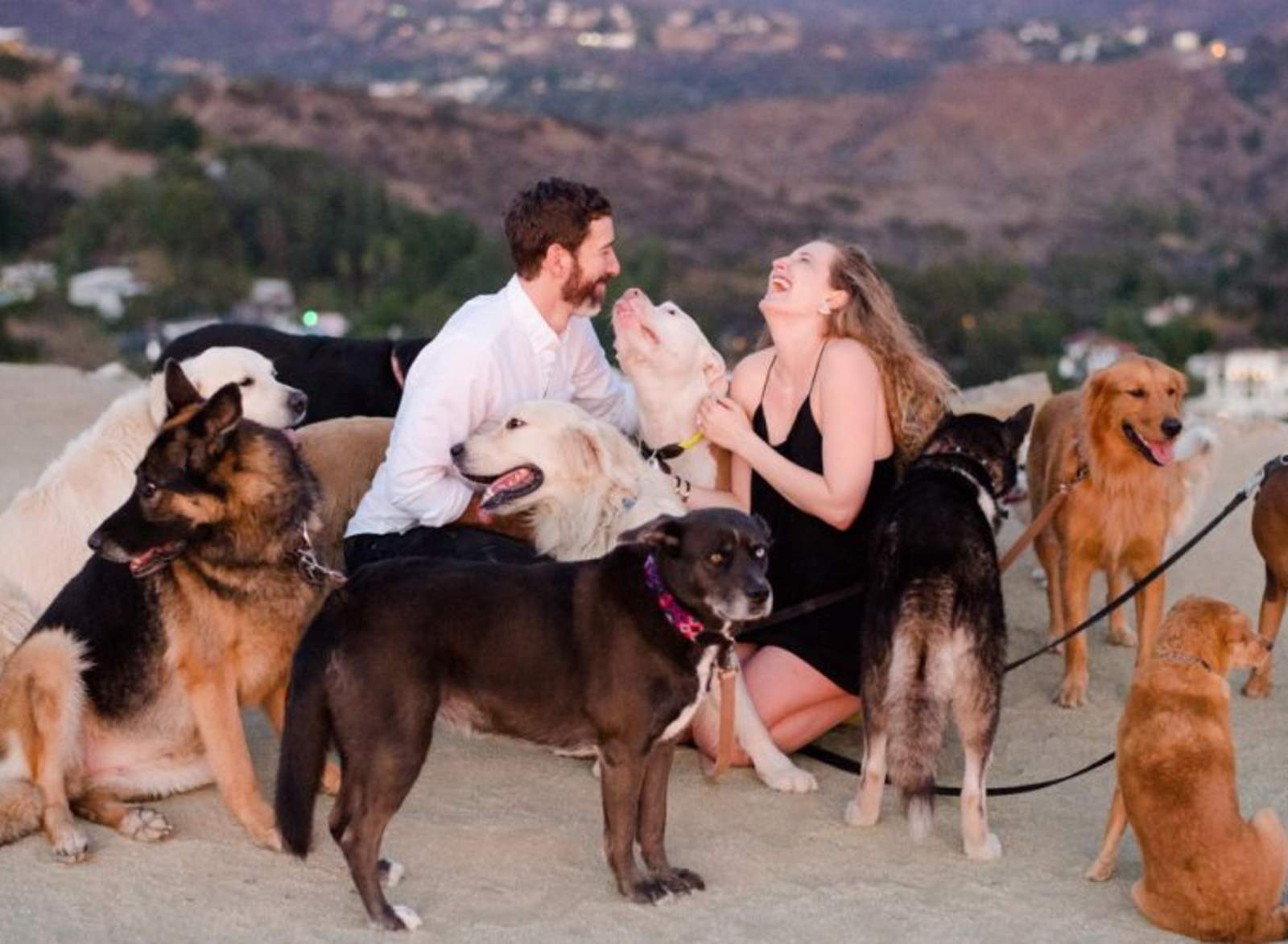 Le propone matrimonio a su novia con ayuda de 16 perros