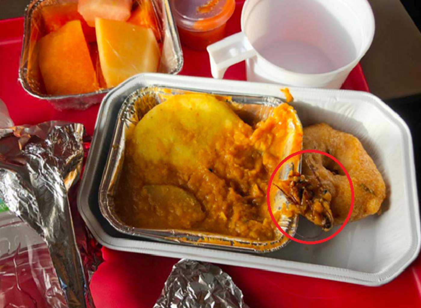 Hombre encontró una cucaracha en la comida del avión